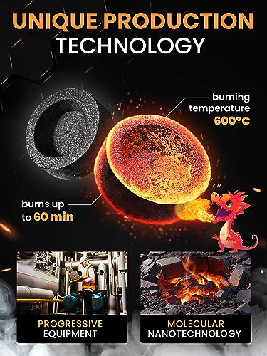 10 pcs Charcoal Tablets for Incense - Hookah Charcoal Hookah Coals for Hooka - Quick Light Charcoal Tablets - 33 mm Premium Quality Incense Charcoals Discs - 10 Charcoal for Incenses Burning - color: 10 Pcs Quick Light Coals