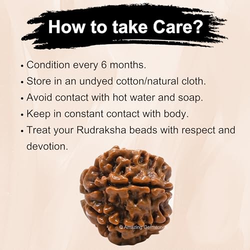 Amazing Gemstone Authentic 7 Mukhi Rudraksha Bead – Natural Nepali Rudraksha for Meditation, Prayer, Protection, Chakra Healing, and Spiritual Growth - color: 7 Mukhi