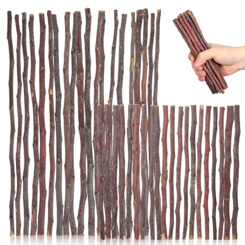 Amosfun 40Pcs Wood Sticks for Crafts, 7.8in and 11in Natural Birch Twigs Sticks for DIY School Projects Photo Props Card Making Rustic Decor