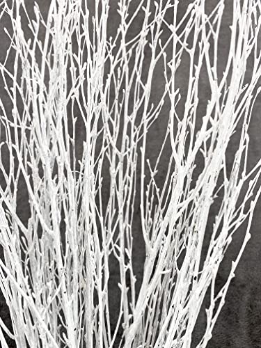 ECOVENIK 25 psc - Branches - 73 cm, Natural Birch Twigs, Pack of 20-25 Stems, Long for Floor vases, (White-Grey ) - size: 25 psc - white grey