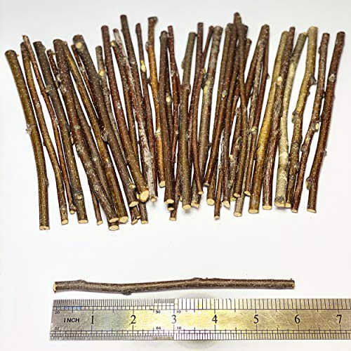 ECOVENIK - 120 Gram - Wood Sticks for Crafts - 6 Inch Birch Wood Craft Sticks - Natural Twigs Sticks for Crafting, DIY School Projects, Card Making, Embellishments & Photo Props - size: pack of 120 grams