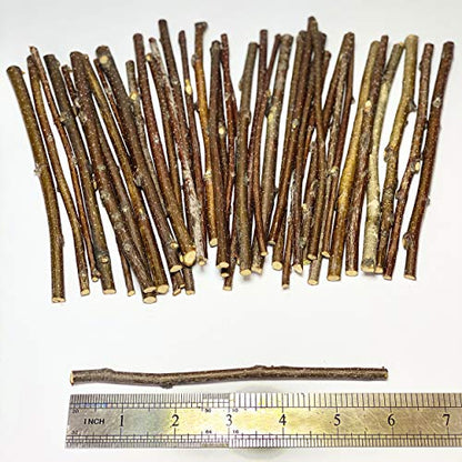 ECOVENIK - 120 Gram - Wood Sticks for Crafts - 6 Inch Birch Wood Craft Sticks - Natural Twigs Sticks for Crafting, DIY School Projects, Card Making, Embellishments & Photo Props - size: pack of 120 grams