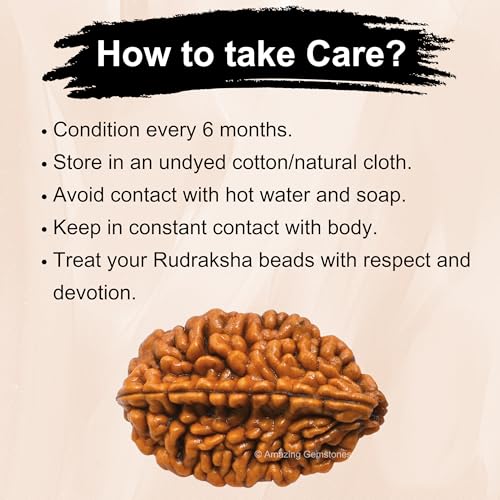 Amazing Gemstone Authentic 2 Mukhi Rudraksha Bead – Natural Nepali Rudraksha for Meditation, Prayer, Protection, Chakra Healing, and Spiritual Growth - color: 2 Mukhi