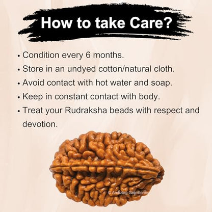 Amazing Gemstone Authentic 2 Mukhi Rudraksha Bead – Natural Nepali Rudraksha for Meditation, Prayer, Protection, Chakra Healing, and Spiritual Growth - color: 2 Mukhi