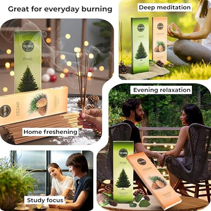 Cedar & Pine - Combo Pack of Incense Sticks - 100 Insence-Sticks of Each Scent - Total 200 Inscents - Natural Insense Made with Non Toxic Ingredients and Essential Oils - color: Cedar & Pine