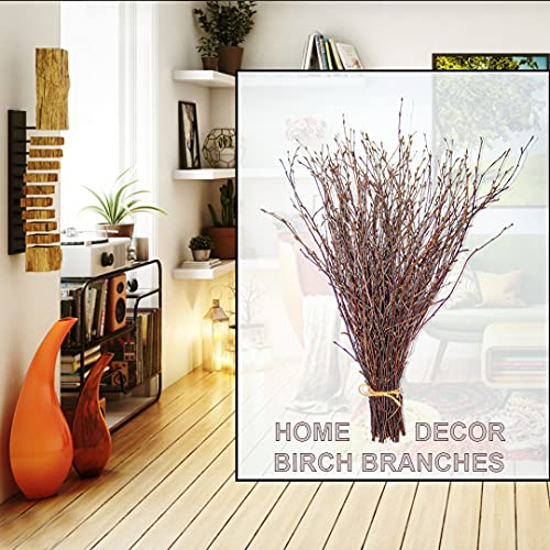 ECOVENIK - 50 psc. Birch Twigs – 100% Natural Decorative Branches for Vases, Centerpieces & DIY Crafts – Birch Sticks for Decorating (16-18 Inch) - size: 50 psc - brown