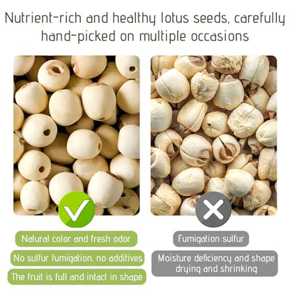 Dried Lotus Seed, 8 oz (227g) Chinese Herbal Tea