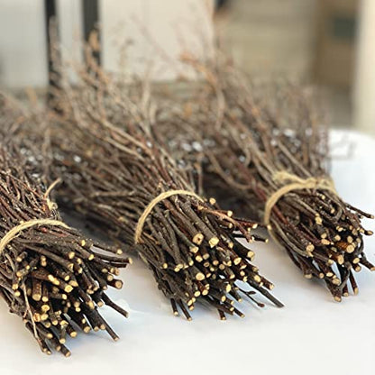 ECOVENIK - 100 psc - Decorative Branches for Vases, Centerpieces & DIY Crafts – Sticks for Decorating ( Brown) - size: 100 psc - brown