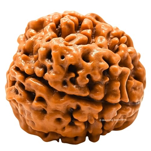 Amazing Gemstone Authentic 4 Mukhi Rudraksha Bead – Natural Nepali Rudraksha for Meditation, Prayer, Protection, Chakra Healing, and Spiritual Growth - color: 4 Mukhi