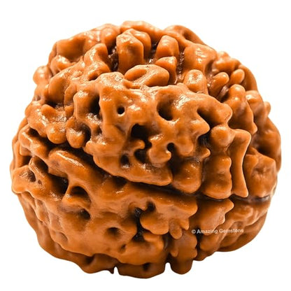 Amazing Gemstone Authentic 4 Mukhi Rudraksha Bead – Natural Nepali Rudraksha for Meditation, Prayer, Protection, Chakra Healing, and Spiritual Growth - color: 4 Mukhi