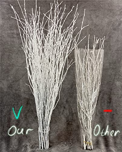 ECOVENIK 25 psc - Branches - 73 cm, Natural Birch Twigs, Pack of 20-25 Stems, Long for Floor vases, (White-Grey ) - size: 25 psc - white grey