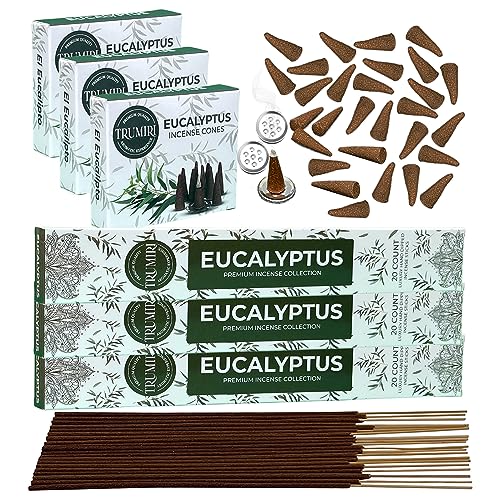 Eucalyptus Incense Sticks & Incense Cones Combo Pack - 60 Insence-Sticks + 30 Insence Cones - Inscense - Incense Cones Scented - Insents - color: Eucalyptus