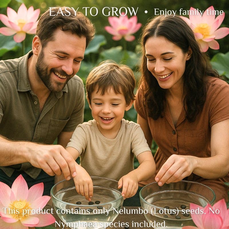 300pcs Lotus Seeds, 15 Unique Bonsai Bowl Varieties for Ponds & Gardens
